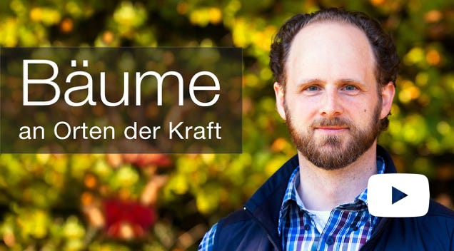 Video Video abspielen