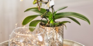 Detailbild von Vastu-Kristallen